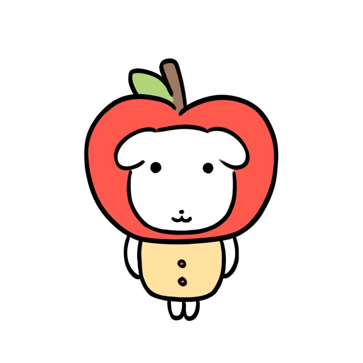 팔찌